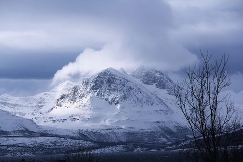 风景摄影，雪，山，枯萎，树，多云，天空，白天
