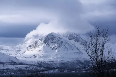 风景摄影,雪,山,枯萎,树,多云,天空,白天 风景摄影,雪,山,枯萎,树,多云,天空,白天