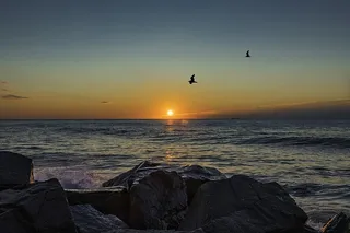 日出，长枝，新泽西，户外，天空，风景，海滩，海洋