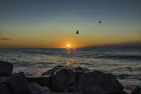 日出,长枝,新泽西,户外,天空,风景,海滩,海洋 日出,长枝,新泽西,户外,天空,风景,海滩,海洋
