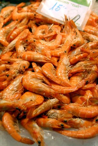 虾，海鲜，美食，贝类，鱼，贝壳，吃，食物