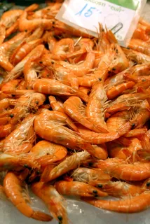 虾,海鲜,美食,贝类,鱼,贝壳,吃,食物 虾,海鲜,美食,贝类,鱼,贝壳,吃,食物