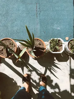 女人，脚，植物，生长，自然，最小，分离，沙地