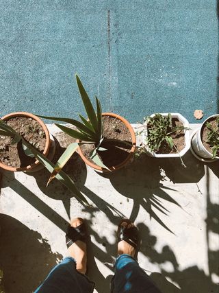 女人，脚，植物，生长，自然，最小，分离，沙地