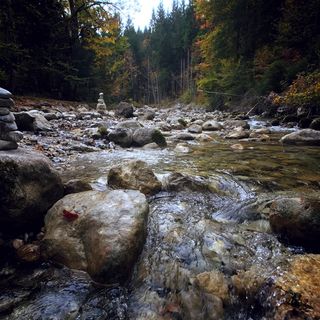德国，奥伯劳多夫，塔兹尔伍姆·瓦塞尔夫，小溪，树，秋天，水，岩石