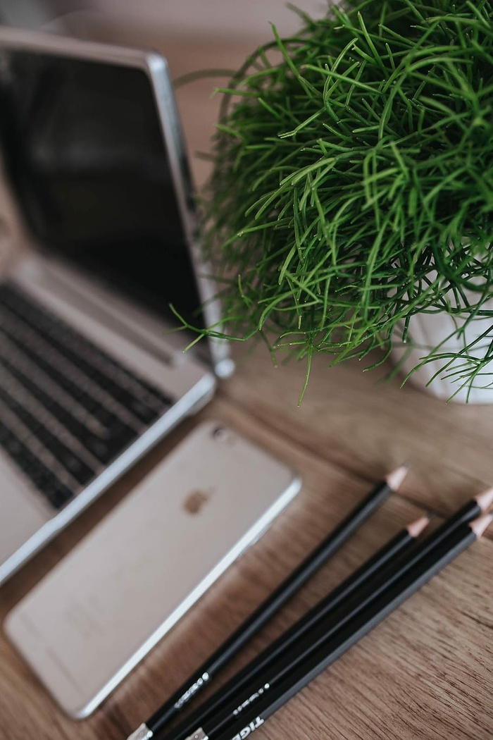 银色宏碁笔记本电脑放在一张木桌子上，上面有一株绿色植物、铅笔和一部苹果iPhone