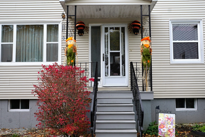 住宅、立面、加拿大、哈利法克斯、建筑外观、建筑、建筑结构、房屋