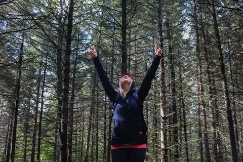 女人，站着，树，举起，手，女孩，欢乐，旅程