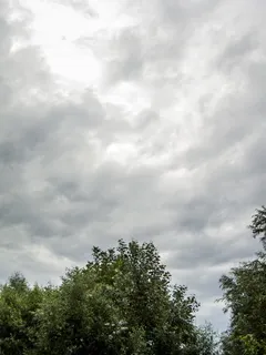 风暴,天空,暴风雨,云,风暴前,天气,云-天空,树 风暴,天空,暴风雨,云,风暴前,天气,云-天空,树