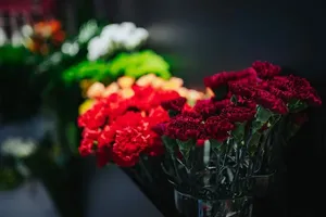 五颜六色的花束收藏