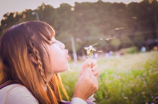 青春，女孩，梦幻，秋天，月桂叶，女人，漂亮，女人