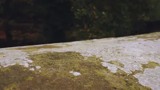 黑色、灰色、绿色、苔藓、岩石、石头、自然、户外