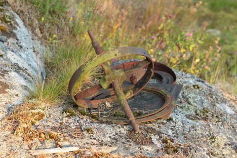 生锈、碎片、废铁、廉价、车轮、旧、动物主题、动物