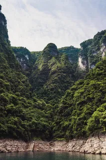 树木覆盖的山的照片 树木覆盖的山的照片
