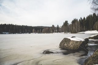 德国，费希特尔伯格，费希特尔西，树枝，桥，云，冷，针叶树