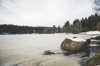 德国，费希特尔伯格，费希特尔西，树枝，桥，云，冷，针叶树