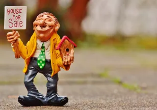 待售房屋，房地产经纪人，房屋，出售，搞笑，鸟舍，人物，乐趣