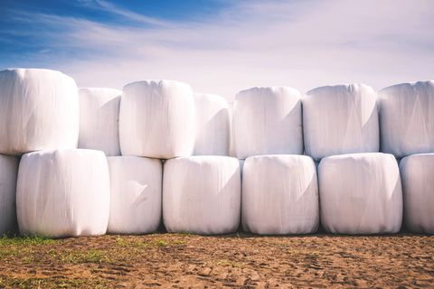 桩，白色，桶，地面，桶，自然，平原，草