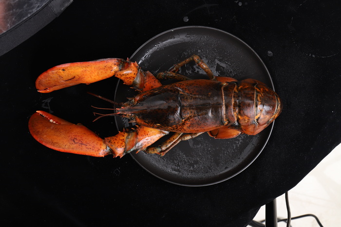 波士顿龙虾、海鲜、波龙、食品和饮料、食品、甲壳类动物、无人、新鲜度