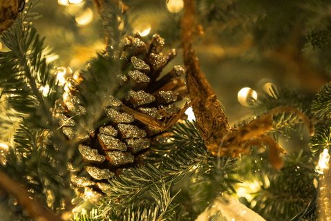 圣诞节，圣诞树，装饰品，节日，植物，树，选择性聚焦，特写