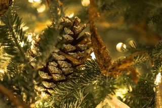 圣诞节，圣诞树，装饰品，节日，植物，树，选择性聚焦，特写