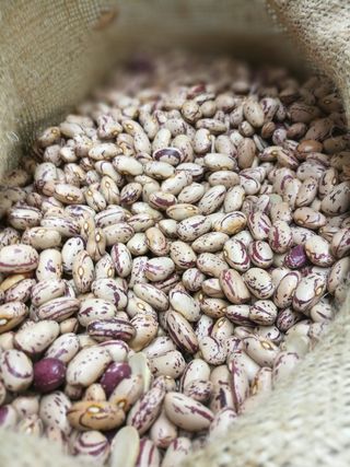 食品、豆类、豆类、问候、健康食品、食品和饮料、新鲜度、大类物体