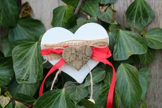 心，叶，自然，爬行植物，植物，植物，排列，植物部分