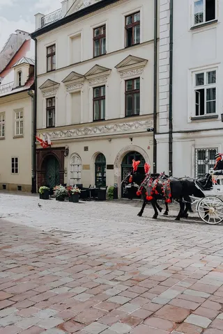 波兰首府克拉科夫的魅力