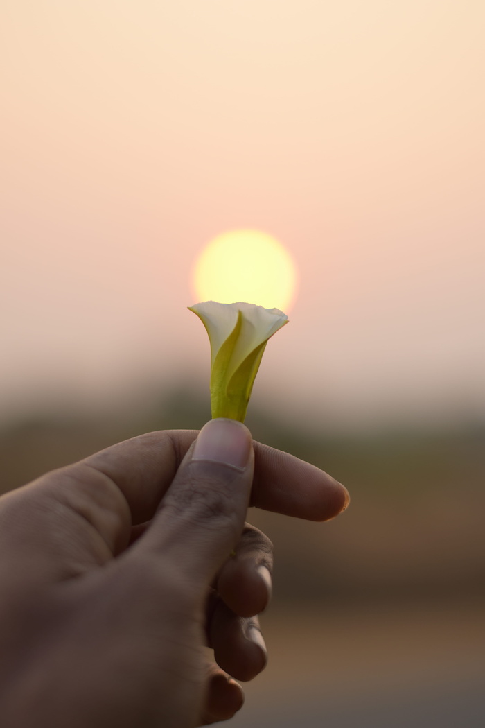 拿着花的人
