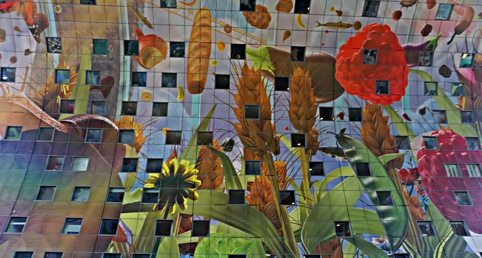 鹿特丹，市场大厅，颜色，天花板，房屋，建筑结构，建筑，建筑外观