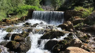 瀑布，水，绿色，森林，自然，景观，石头，瀑布