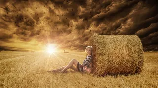 女人，坐着，凝视，思考，女人，人，看，夏天