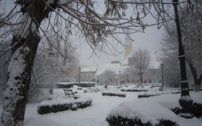 户外、雪、自然、暴雪、冬天、风暴、媒体、罗马尼亚