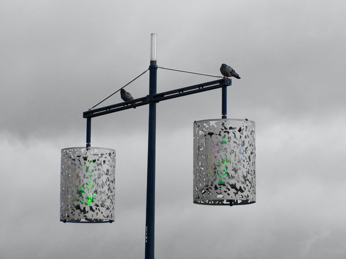 颜色、日光、环境、悬挂、灯柱、灯光、户外、栖息