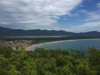 绿色、种植园、自然、步行、海滩、三月、太阳、天空