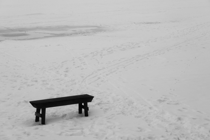 寒冷的温度、雪、冬天、宁静、自然、自然之美、宁静的景色、长凳