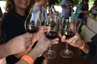 葡萄酒厂，圣地亚哥，智利，饮料，点心，酒精，玻璃，葡萄酒