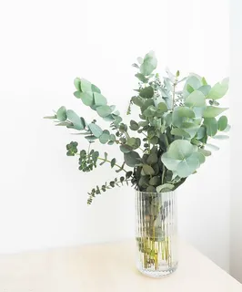 花瓶,绿色,带叶,植物,桌子,叶子,室内,花 花瓶,绿色,带叶,植物,桌子,叶子,室内,花