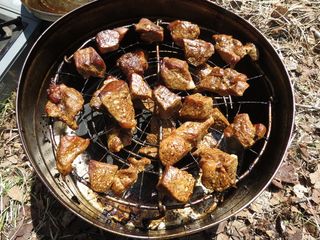 烤肉串，油炸肉，芒果，油炸，野餐，煤炭，美味，假期