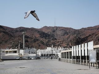 鸽子，苍蝇，鸟，羽毛，山，飞，自然，天空