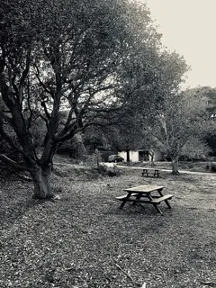美国,纽瓦克,椅子,树,老照片,公园,椅子,植物 美国,纽瓦克,椅子,树,老照片,公园,椅子,植物