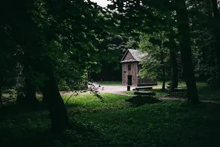 穿过森林的散步