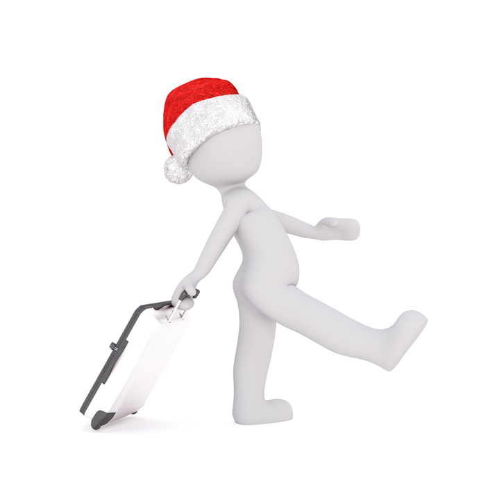 人物男，戴，圣诞帽，拉，行李插图，白人男性，3d模型，全身