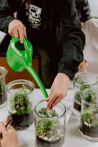 在罐子里建造雨林玻璃器皿