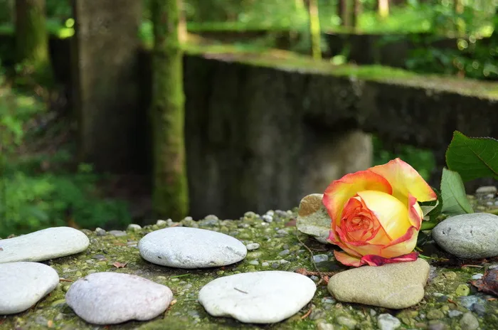 kz，Konzentrantionslager，《户外存储》，多伦多，废墟，达豪，希特勒时代，1940年代