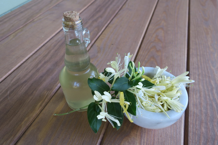 金银花，简单糖浆，食用，餐桌，木材，植物，花卉，新鲜度