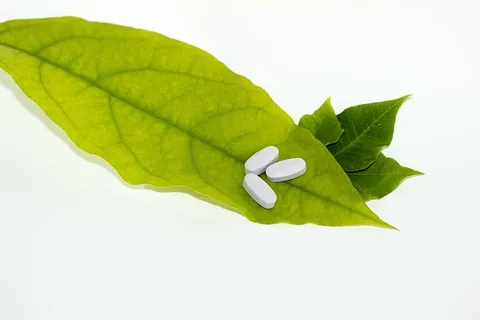 片剂,卵形叶,叶,丸,绿,药,草药 片剂,卵形叶,叶,丸,绿,药,草药