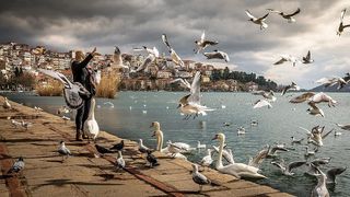 穿着黑色夹克的女人站在海边，身边有天鹅和小鸟