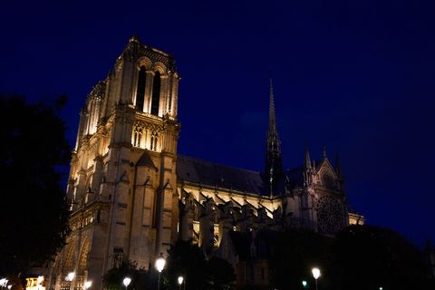 棕色、混凝土、结构、夜间、巴黎、法国、圣母院、landmark