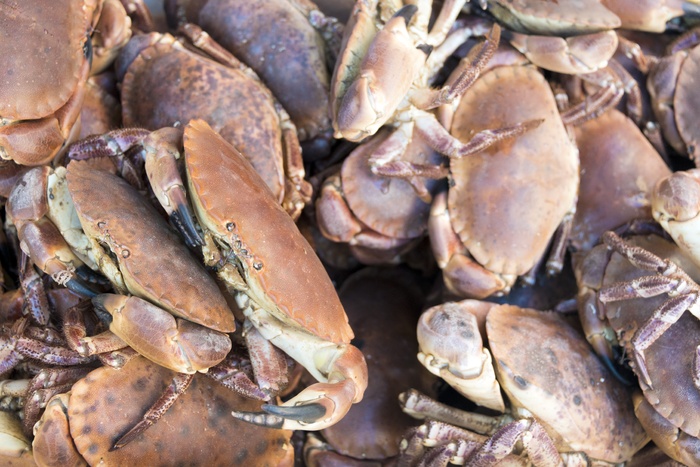 螃蟹，龙虾，海鲜，贝壳，动物，海，新鲜，食物